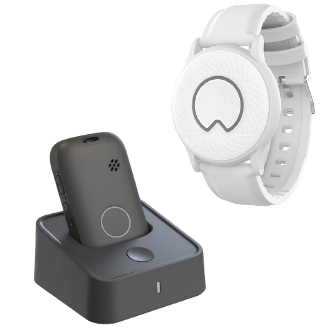 Sentinel device and charger